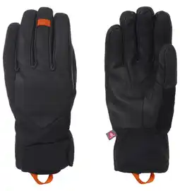 Wehkamp Icepeak skihandschoenen Harlingen zwart aanbieding