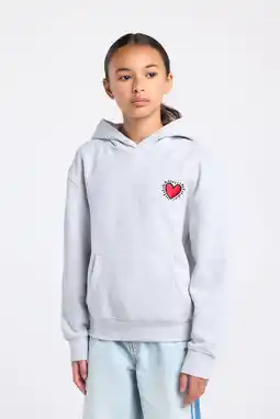 Wehkamp America Today hoodie met backprint grijs melange aanbieding