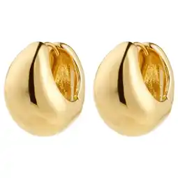 Wehkamp PILGRIM gold plated oorbellen Free aanbieding
