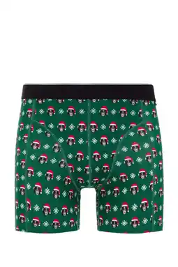 Wehkamp WE Fashion boxershort met kerst print groen aanbieding