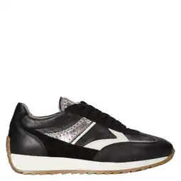 Wehkamp Piedi Nudi Harlem 02.03 leren sneakers zwart aanbieding