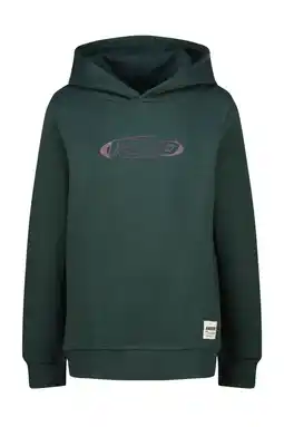 Wehkamp Raizzed hoodie donkergroen aanbieding