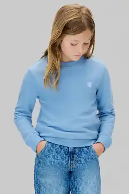 Wehkamp Calvin Klein sweater lichtblauw aanbieding