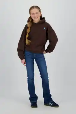 Wehkamp Raizzed hoodie donkerbruin aanbieding