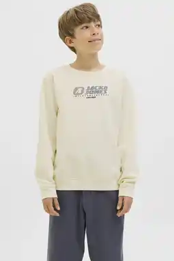 Wehkamp JACK & JONES JUNIOR sweater beige aanbieding