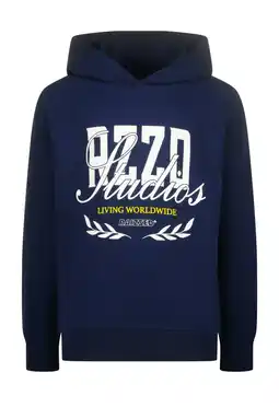 Wehkamp Raizzed hoodie donkerblauw aanbieding