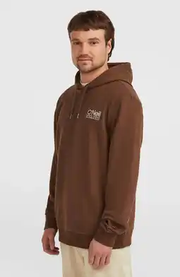 Wehkamp O'Neill hoodie bruin aanbieding