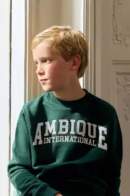 Wehkamp Ambique sweater donkergroen aanbieding