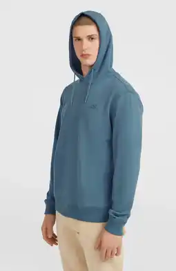 Wehkamp O'Neill hoodie grijsblauw aanbieding