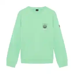 Wehkamp Indian Blue Jeans sweater met backprint groen aanbieding