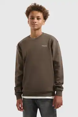 Wehkamp Ballin sweater bruin aanbieding