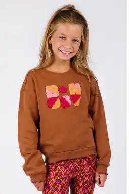 Wehkamp B.Nosy sweater bruin aanbieding