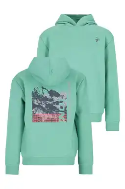 Wehkamp TYGO & vito NextGen jersey hoodie met backprint groen aanbieding