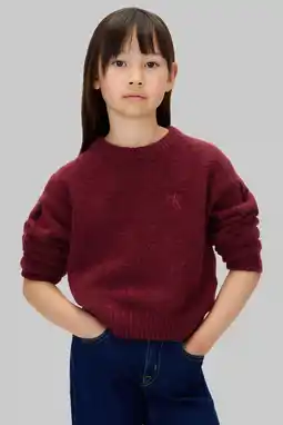 Wehkamp Calvin Klein gebreide trui donkerrood aanbieding