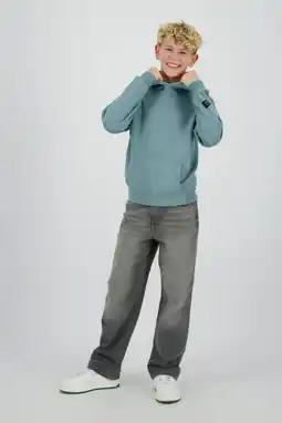 Wehkamp Raizzed hoodie lichtblauw aanbieding