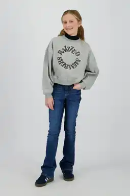 Wehkamp Raizzed sweater grijs melange aanbieding