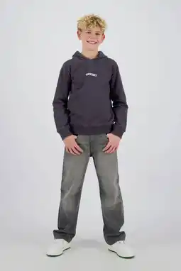 Wehkamp Raizzed hoodie donkergrijs aanbieding