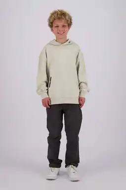 Wehkamp Raizzed hoodie beige aanbieding