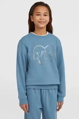 Wehkamp O'Neill sweater blauw aanbieding