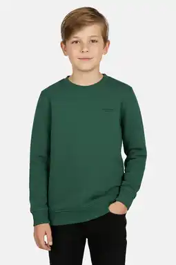 Wehkamp Cars sweater donkergroen aanbieding