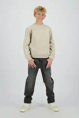 Wehkamp Raizzed sweater beige aanbieding