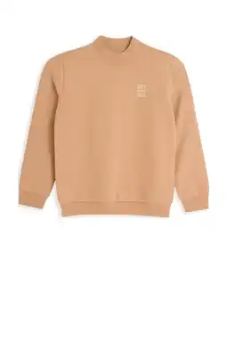 Wehkamp 4PRESIDENT sweater bruin aanbieding