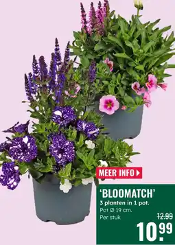 GroenRijk Bloomatch aanbieding