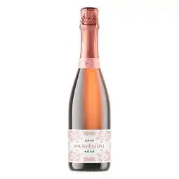 PLUS Bienvenido Cava Rosé aanbieding