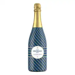 PLUS Bienvenido Cava Brut Proost! aanbieding
