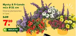 Welkoop Mysty & Friends mix aanbieding