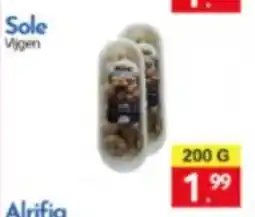 Tanger Markt Sole aanbieding