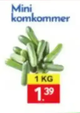 Tanger Markt Mini komkommer aanbieding