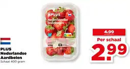 PLUS PLUS Nederlandse Aardbeien aanbieding