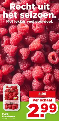 PLUS PLUS Frambozen aanbieding