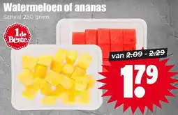 Dirk Watermeloen of ananas aanbieding