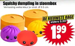 Dirk Squishy dumpling in stoombox aanbieding
