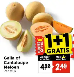 Vomar Voordeelmarkt Galia of Cantaloupe Meloen aanbieding