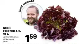 Ekoplaza Rode eikenbladsla aanbieding