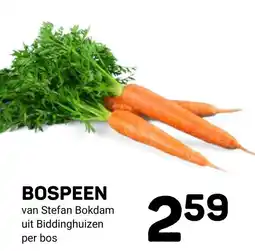 Ekoplaza Bospeen aanbieding