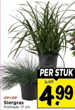 Vomar Voordeelmarkt Siergras aanbieding