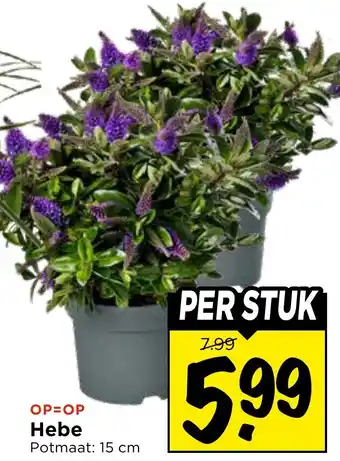 Vomar Voordeelmarkt Hebe aanbieding