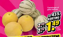 Hoogvliet Cantaloupe of galia meloen aanbieding