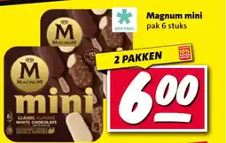 Nettorama Magnum mini aanbieding