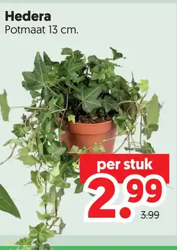Dekamarkt Hedera aanbieding