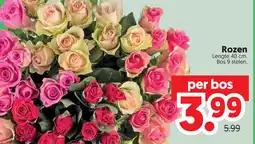 Dekamarkt Rozen aanbieding