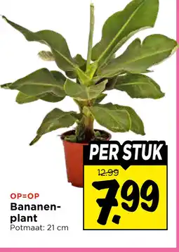 Vomar Voordeelmarkt Bananen- plant aanbieding