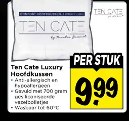 Vomar Voordeelmarkt Ten Cate Luxury Hoofdkussen aanbieding