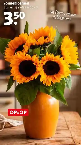 Poiesz Zonnebloemen aanbieding