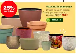 Welkoop Alle buitenpotten aanbieding