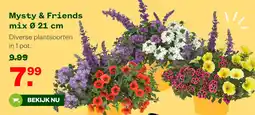 Welkoop Mysty & Friends mix Ø 21 cm aanbieding